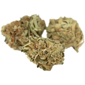 demecan-siggis-zblt-2401