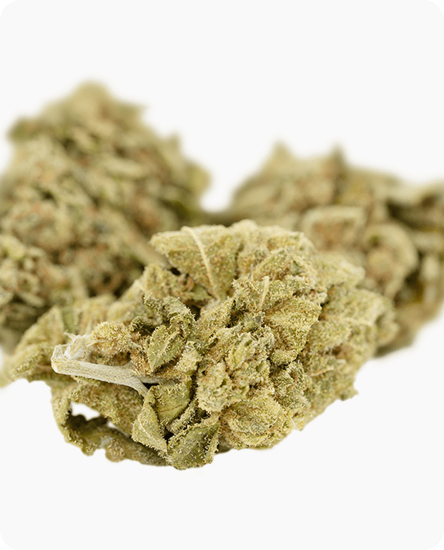bud 3 9f463cb532